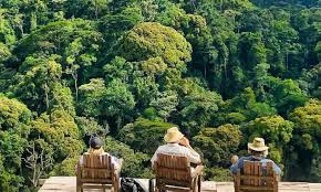 Bwindi Impenetrable National Park